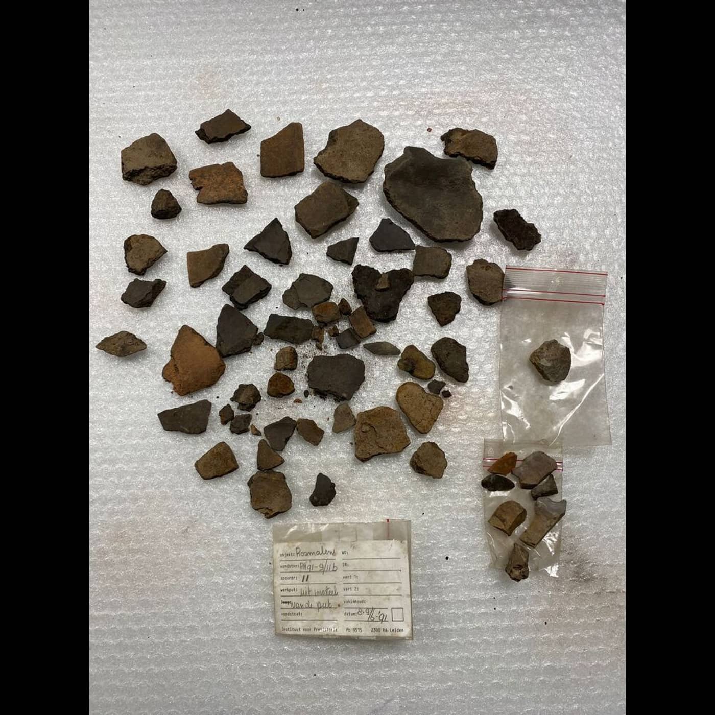 F8ebd1f5 f5dd 400d a965 7d838a5df72c