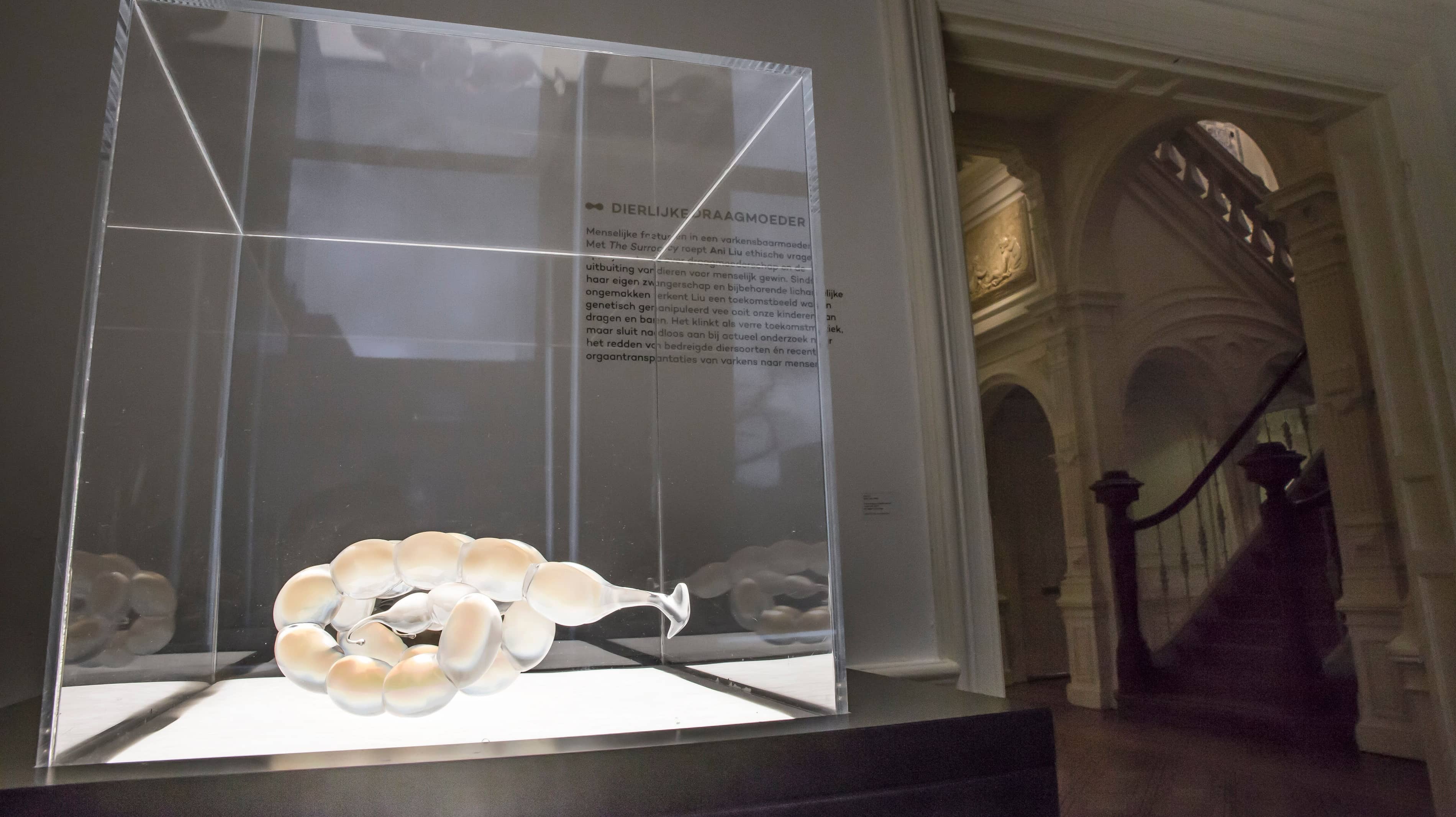 Leven en laten leven Fotograaf@Loek Blonk MG 4673 MG 4682