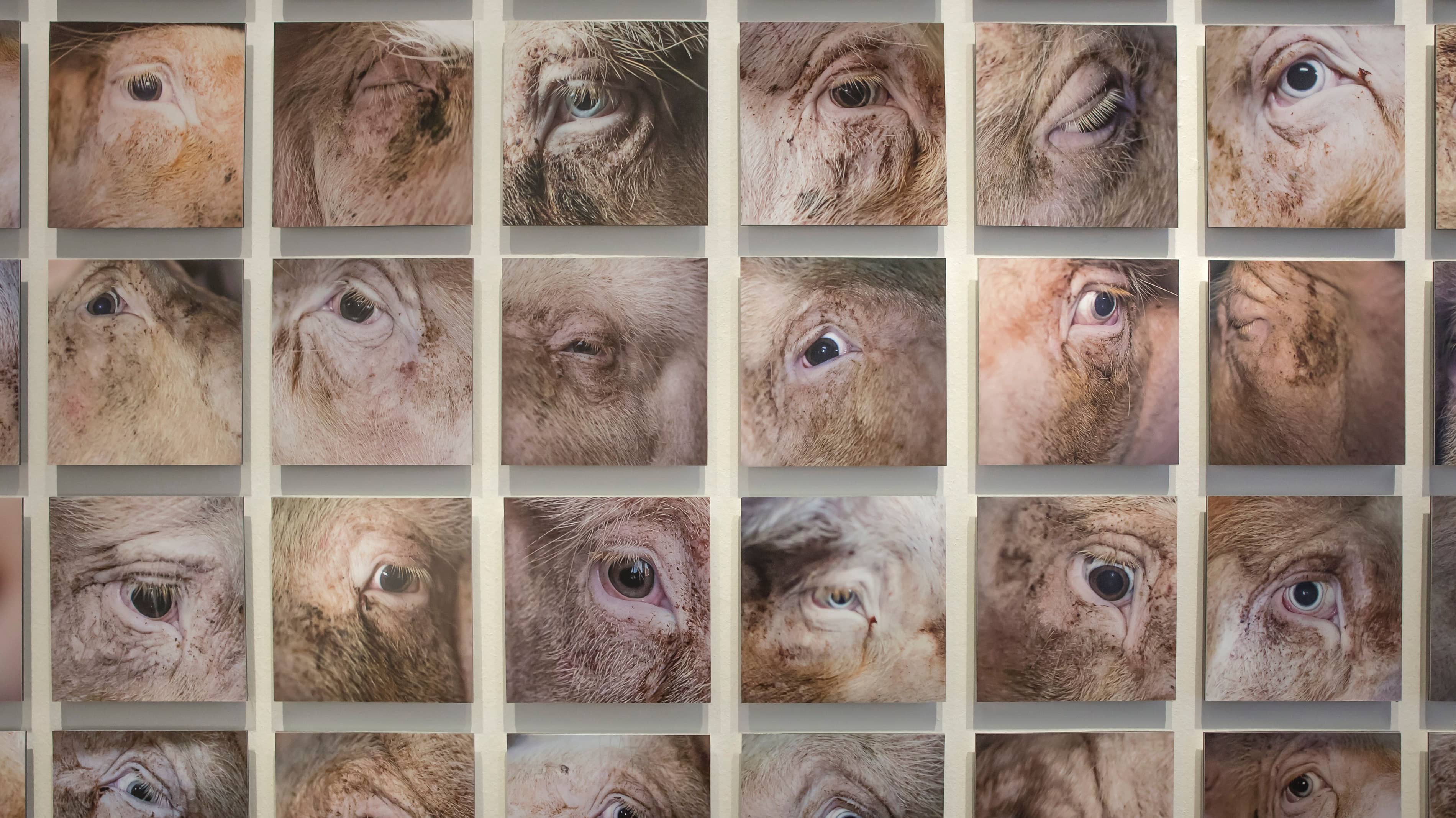 Leven en laten leven Fotograaf@Loek Blonk MG 4699