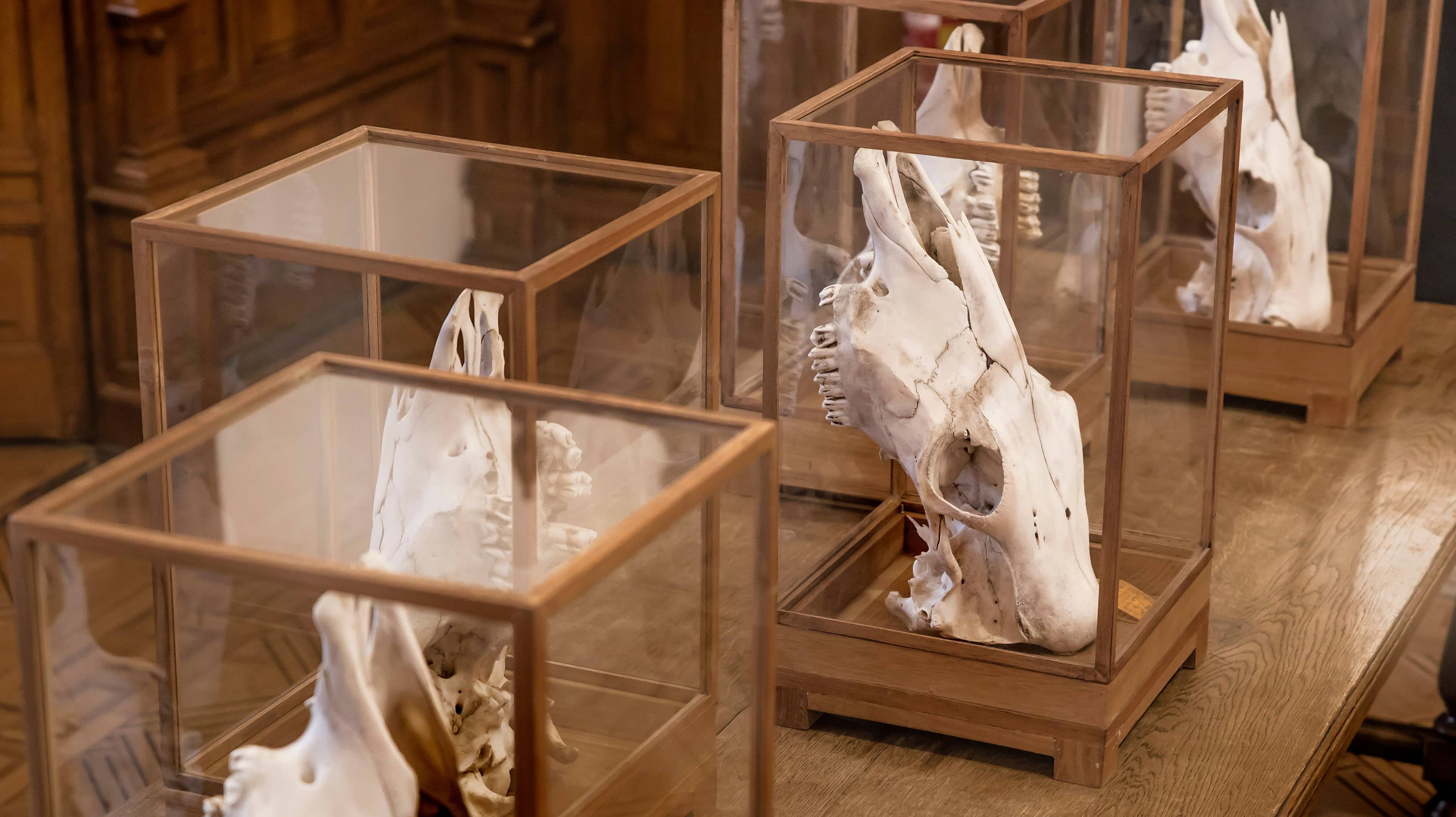 Leven en laten leven Fotograaf@Loek Blonk MG 4749