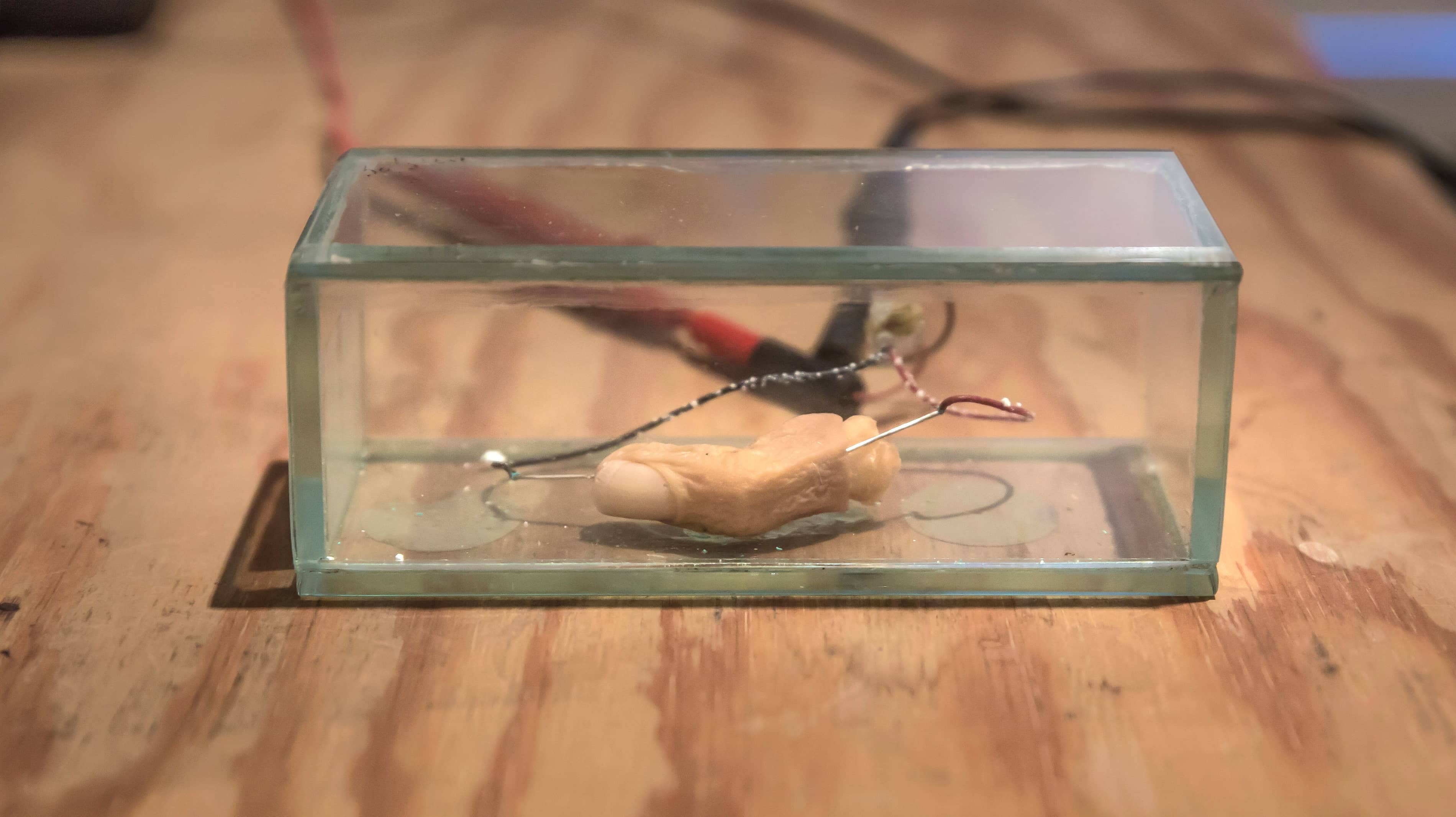 Leven en laten leven Fotograaf@Loek Blonk MG 4785