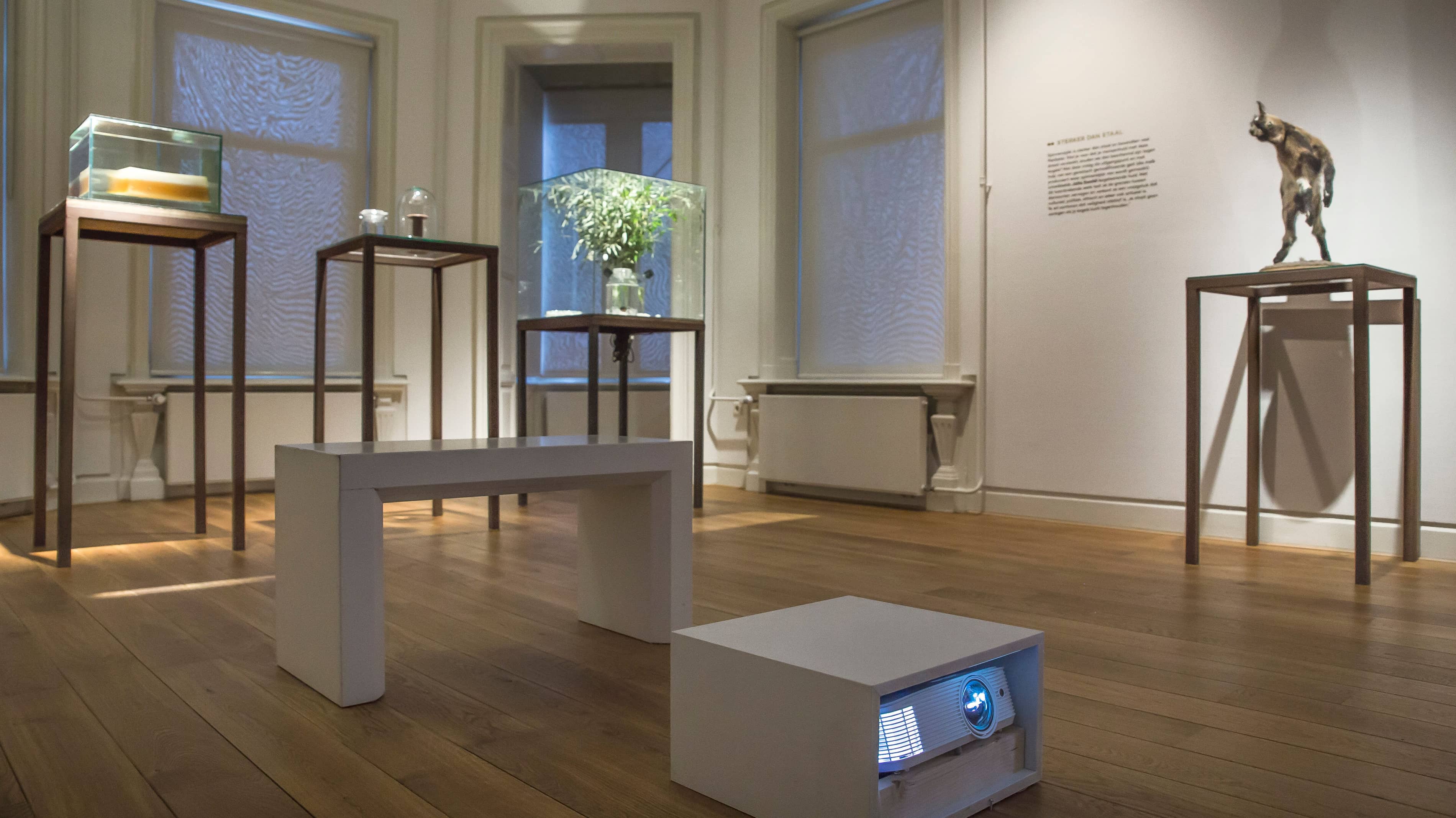 Leven en laten leven Fotograaf@Loek Blonk MG 4814