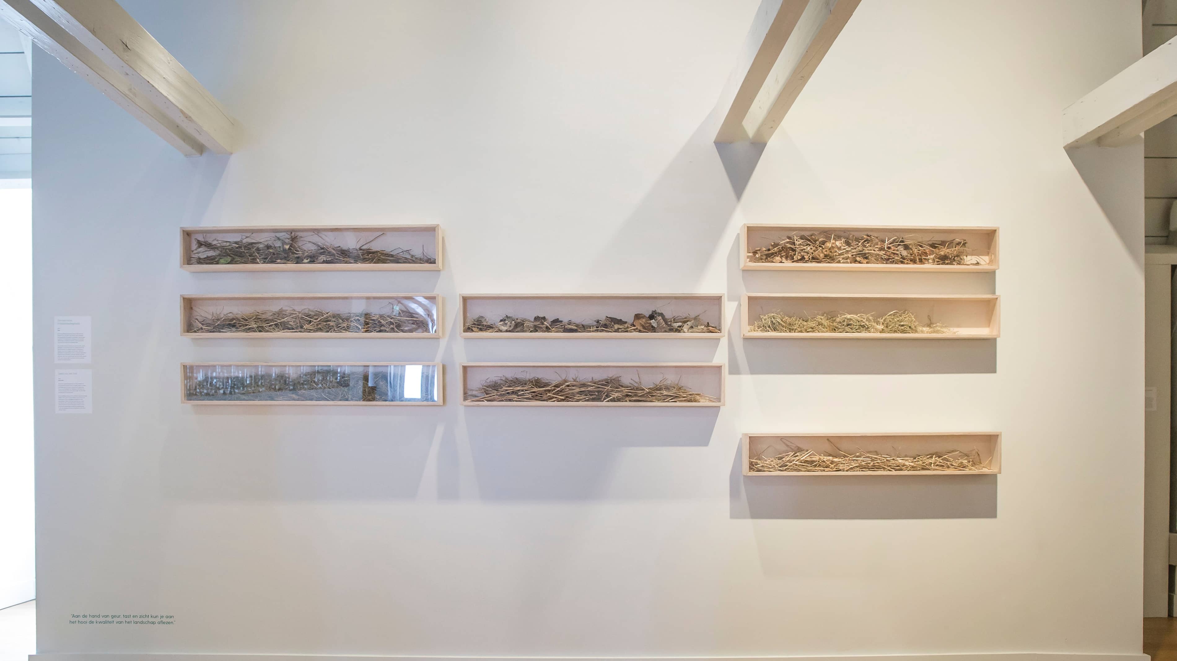 Animal Farmacy - Fotograaf@Loek Blonk