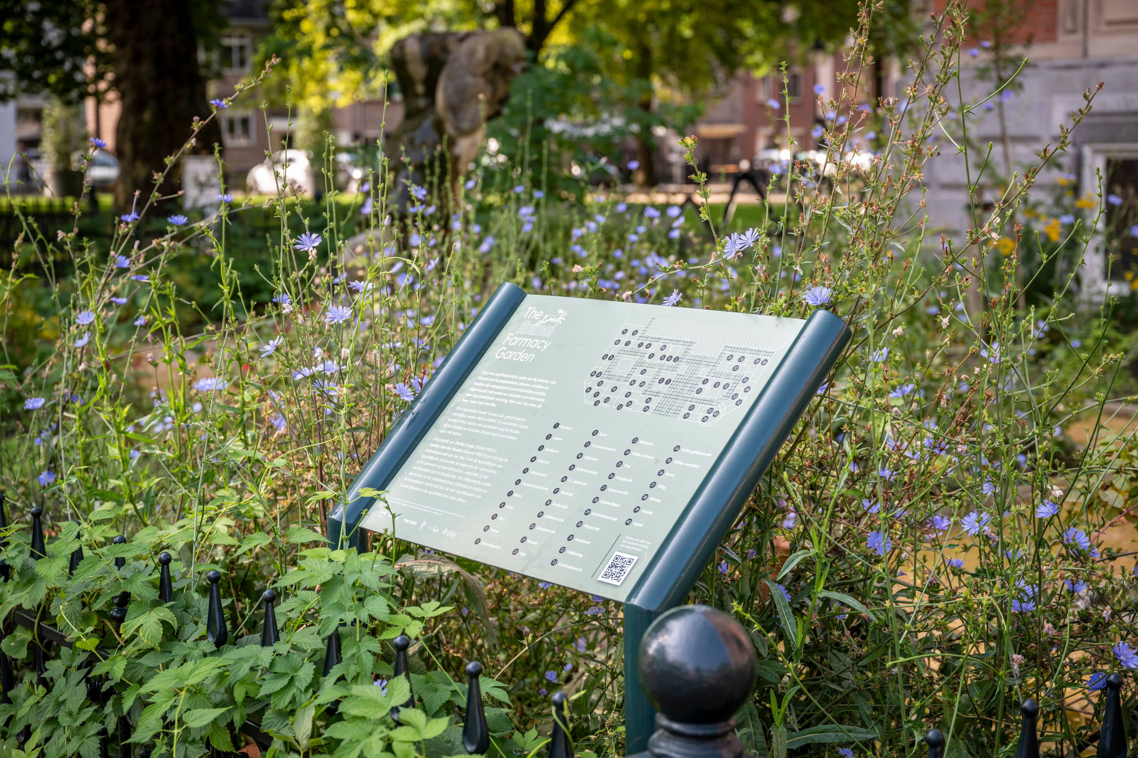 TS240802 Kruidentuin Museum JC 13