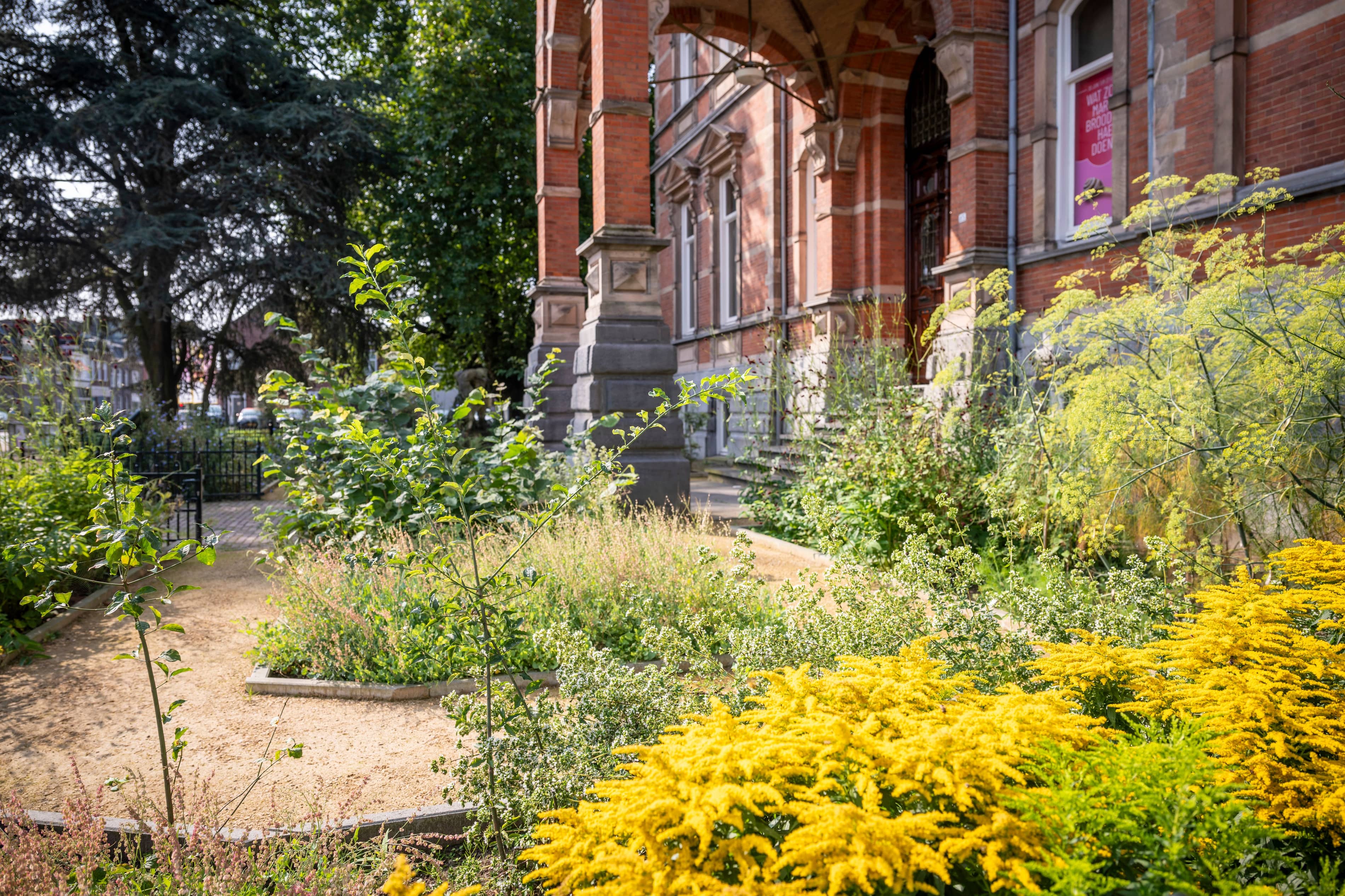 TS240802 Kruidentuin Museum JC 28