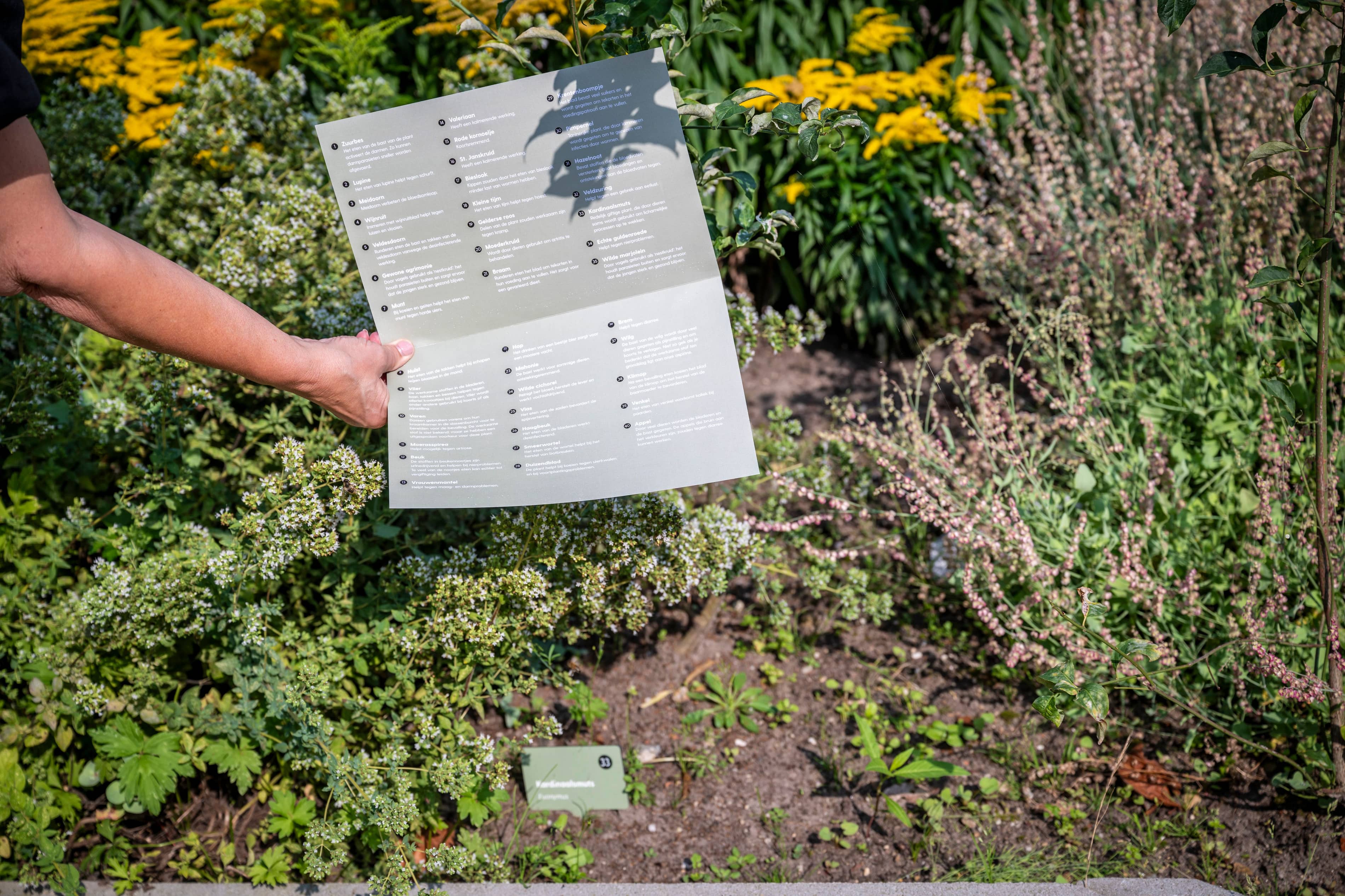 TS240802 Kruidentuin Museum JC 7