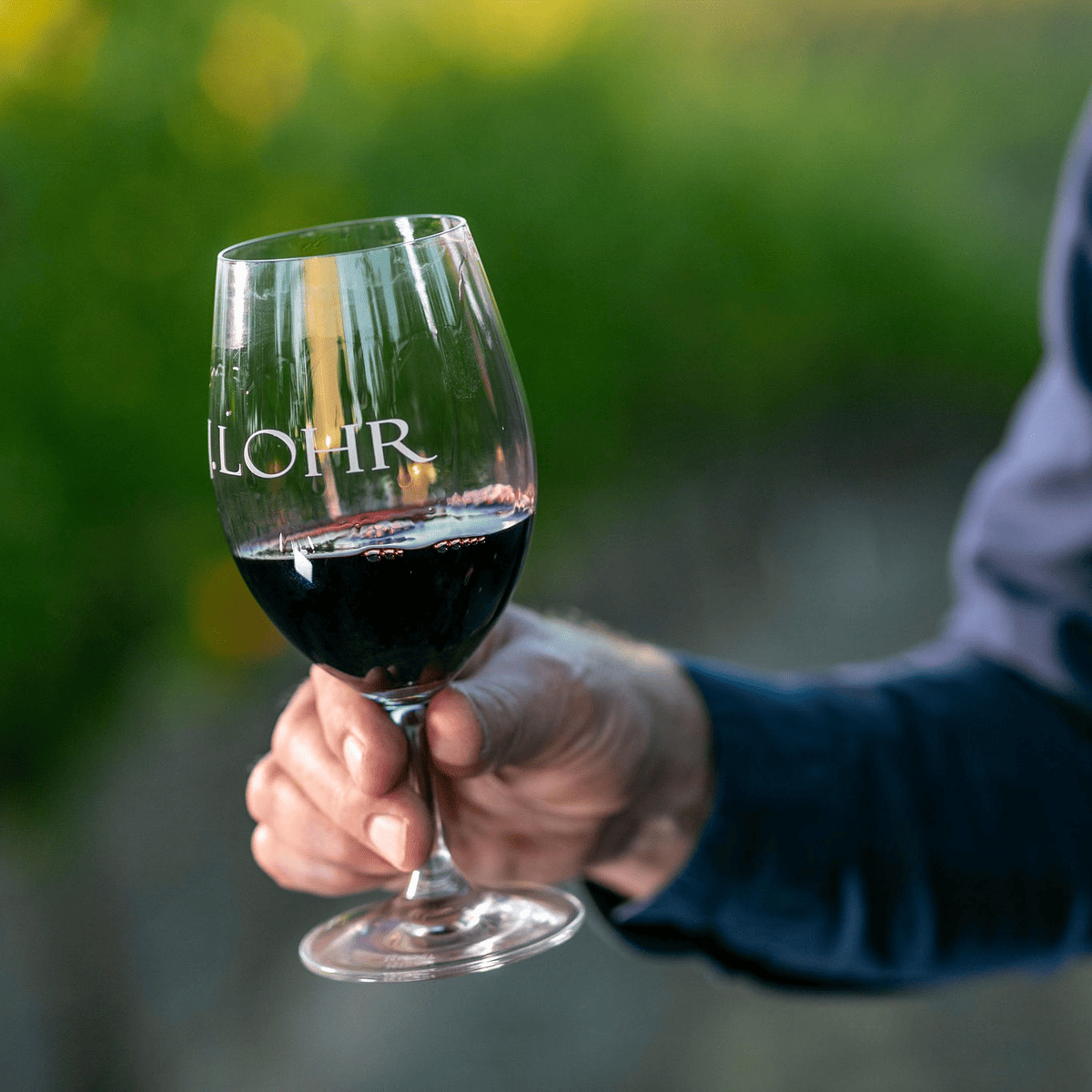 J Lohr Vineyards & Wines