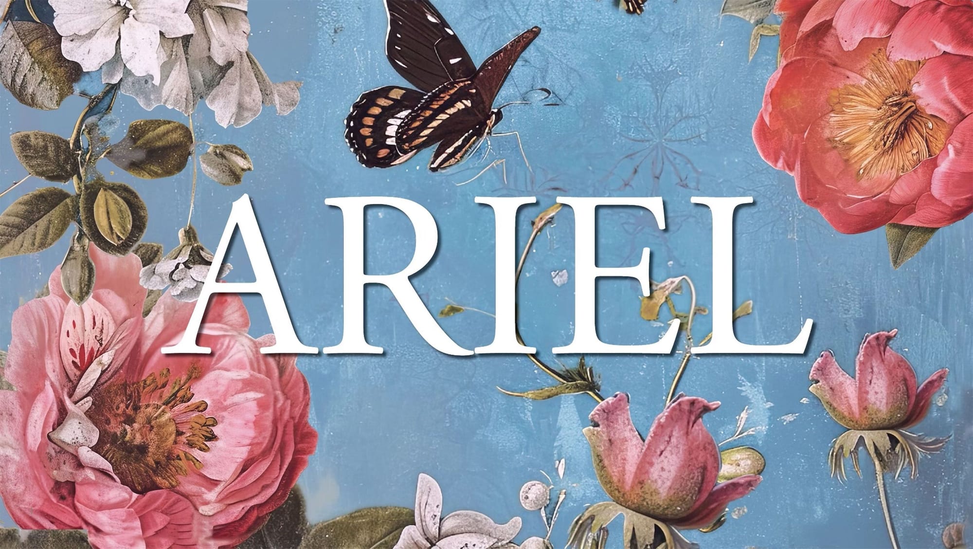 ARIEL WINES