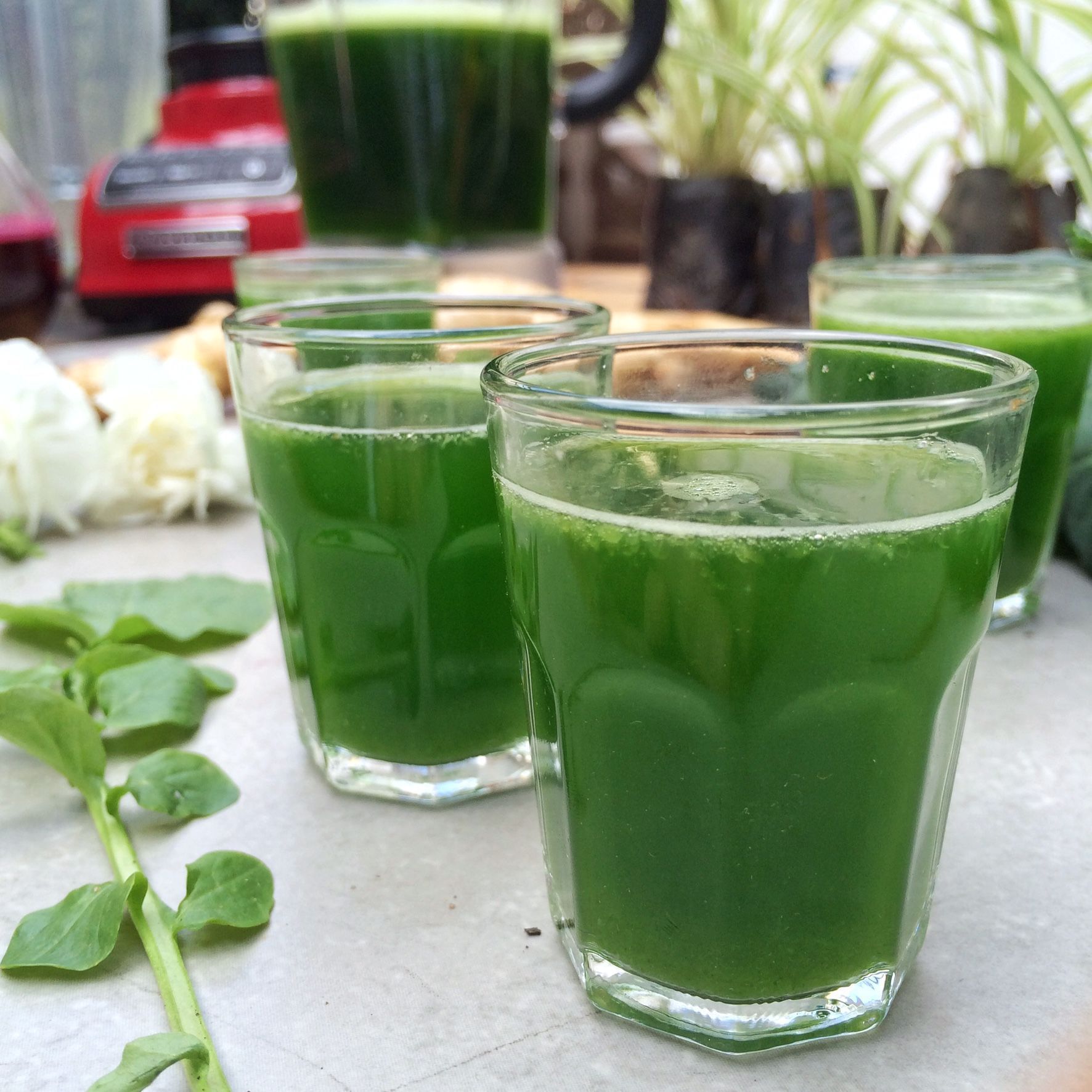 Esta receita de suco verde é ótima para o sistema digestivo.