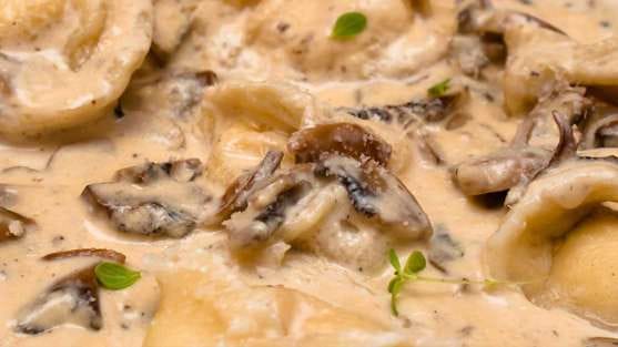 Ravioli de pecorino ao molho de cogumelos porcini
