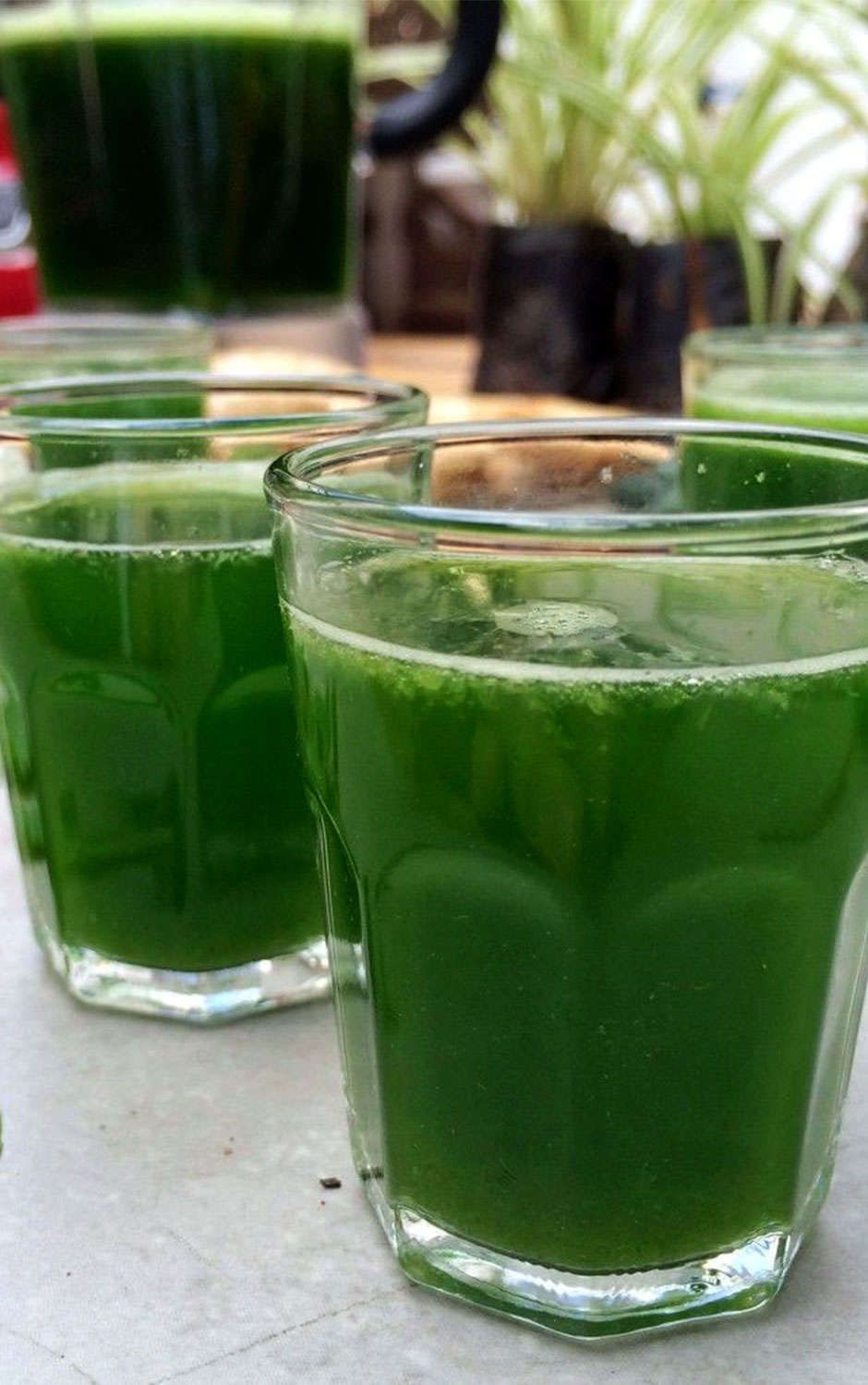 suco verde 2