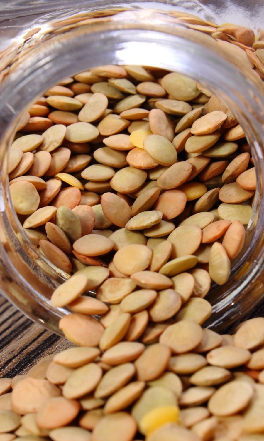 salada de lentilha 2