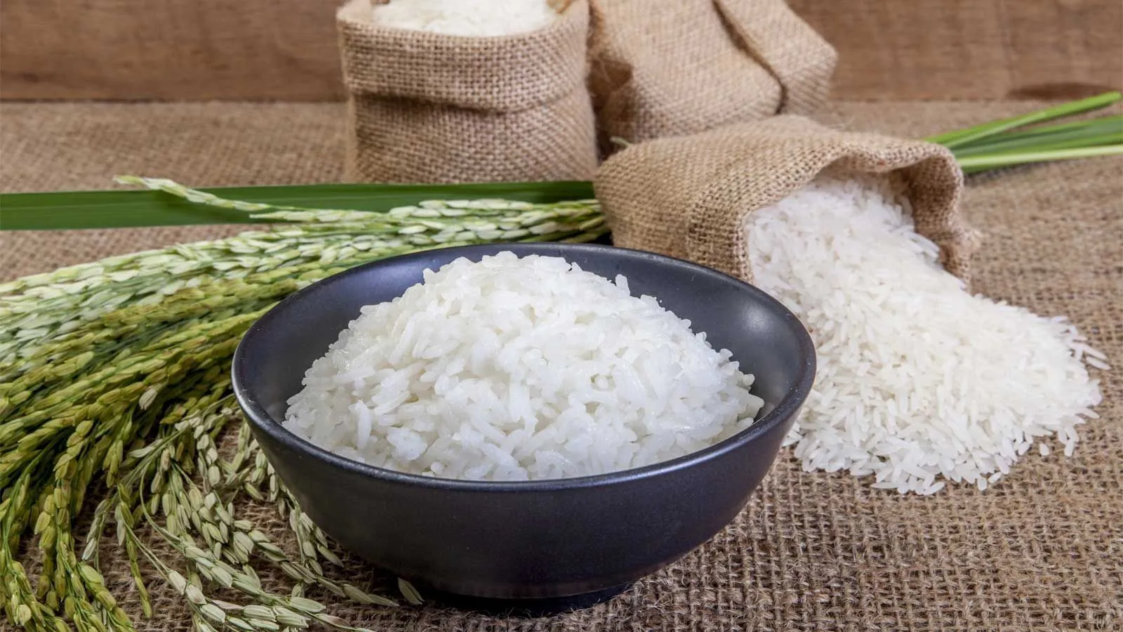 Sabia que o arroz é um dos grãos mais consumidos do mundo? Acessível e saudável, é indispensável em várias receitas. Confira algumas das melhores aqui.