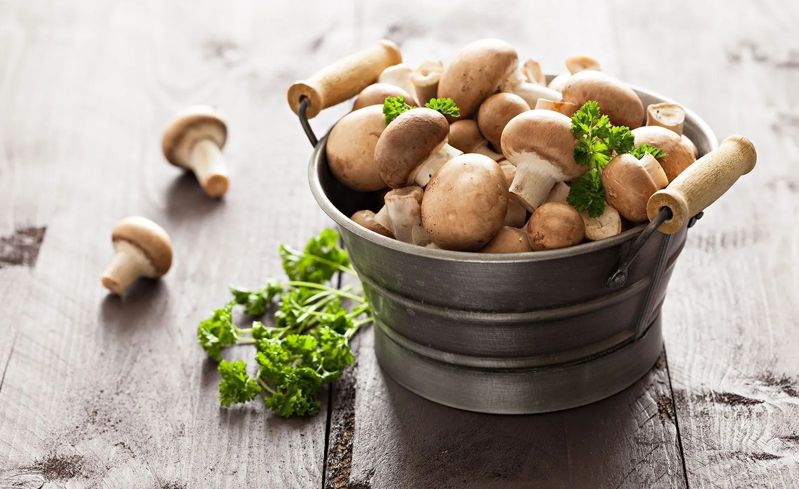 Ingrediente receita cogumelos shitake shimeji Stock Photo