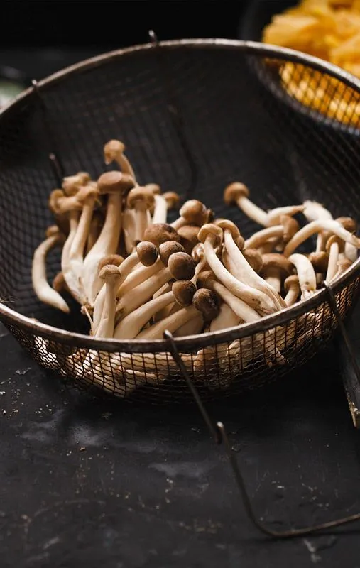 Ingrediente receita cogumelos shitake shimeji Stock Photo