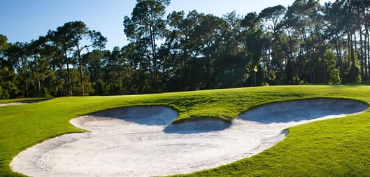 Essential Orlando Golf!