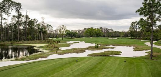 20% off Disney's Golf trip - which happens to be super cool!