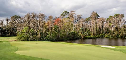 Essential Orlando Golf!