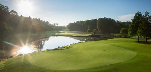 Disney's Palm Golf Course