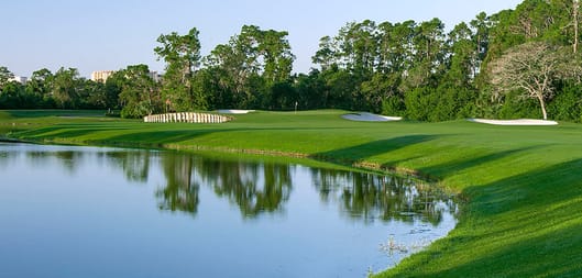 Disney's Lake Buena Vista Golf Course