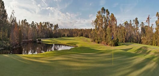 25% Off Lodging & WAIVED Resort Fee