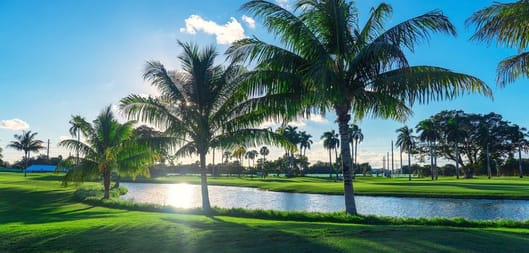 Your golf buddies will high five you for this one!