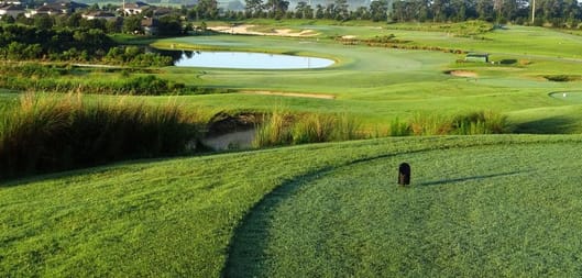 Eagle Dunes Golf Course