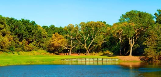 Palmetto Hall Plantation Club - Hills Course