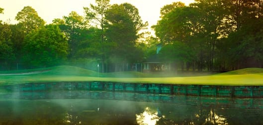 Palmetto Hall Plantation Club - Cupp Course