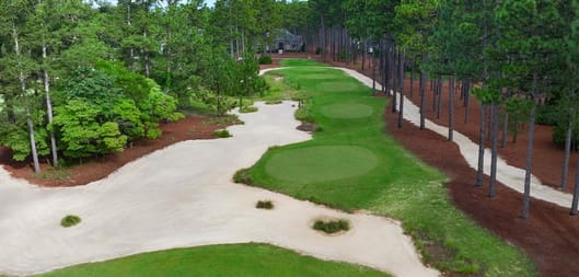 Summer in Southern Pines