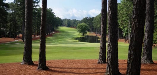 Pinewild Country Club - Magnolia Course