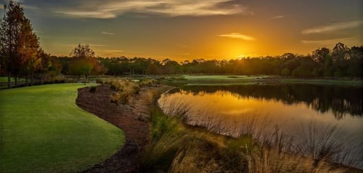 Tiburon Golf Club - Black Course