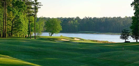 Grand National - Links Course