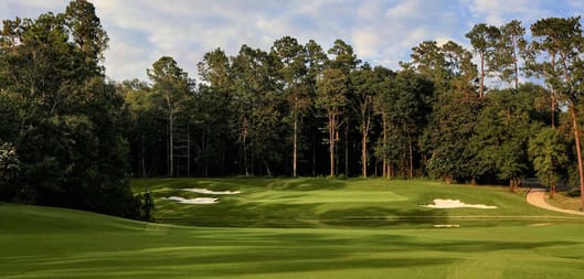 Magnolia Grove - Falls Course