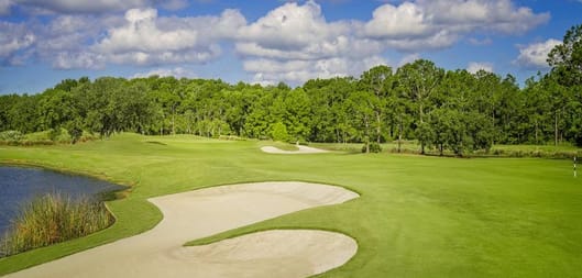 Sun, Sand, and Golf