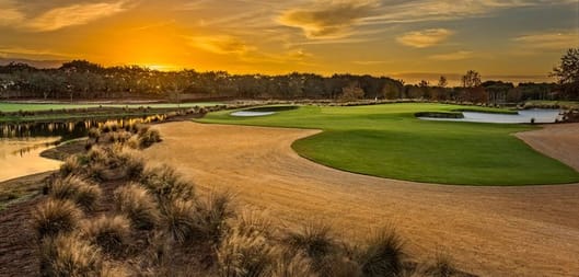 Tiburon Golf Club - Gold Course