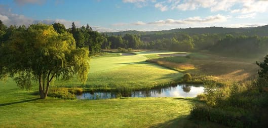 BOYNE Golf - The Moor
