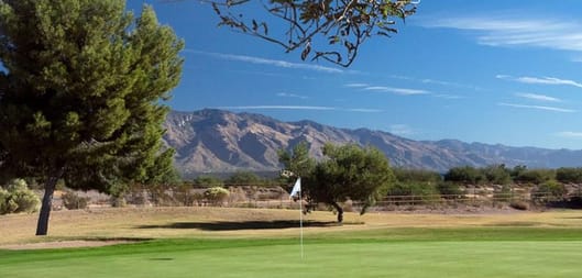 Silverbell Golf Course