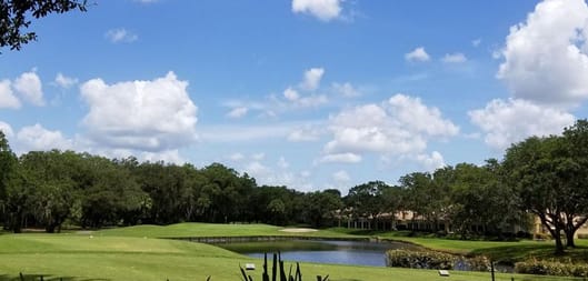 The Meadows Golf Club - Groves Course