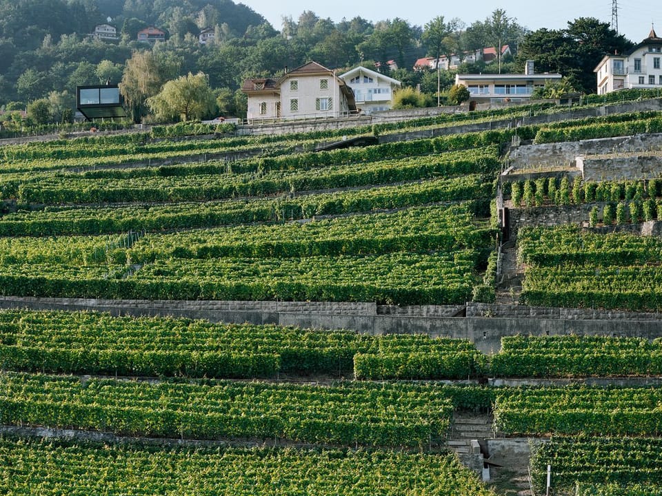 Villa Chardonne, Chardonne. Made in, 2009