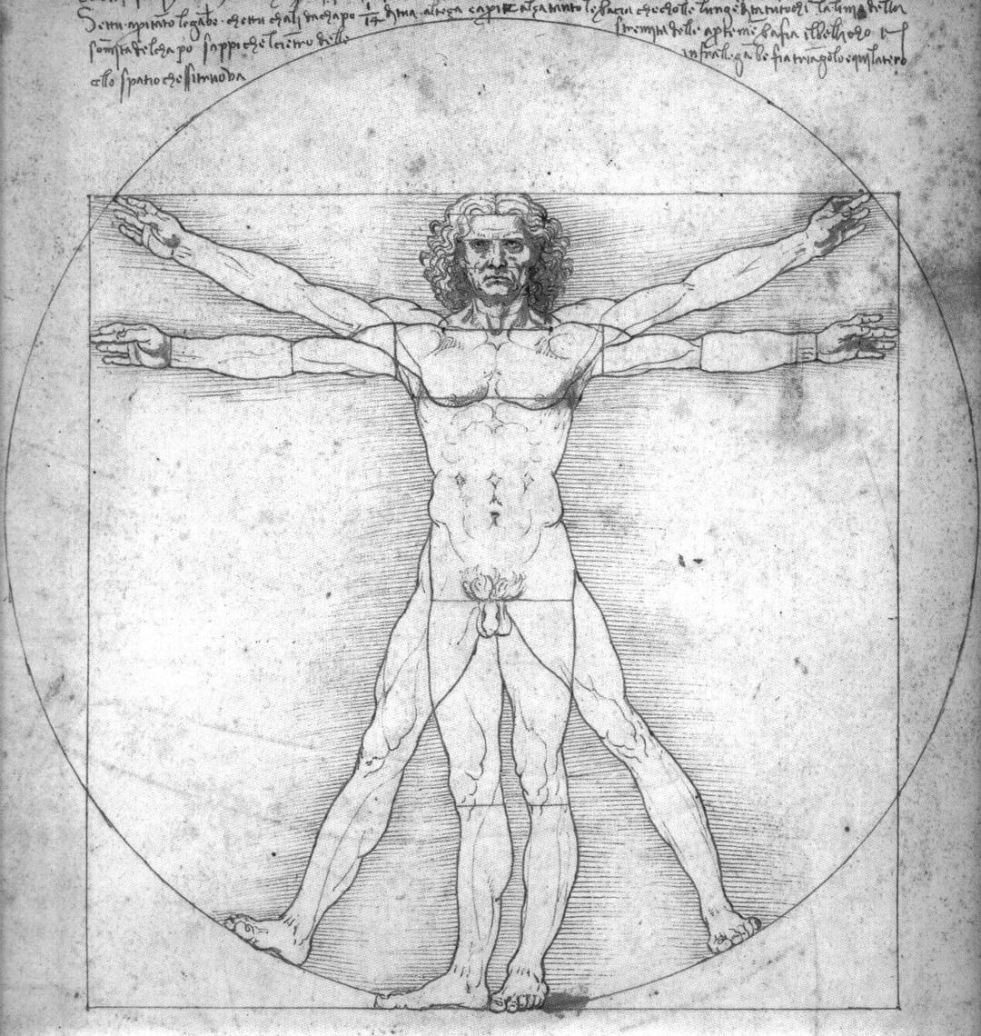 Uomo Vitruviano Di Leonardo Da Vinci