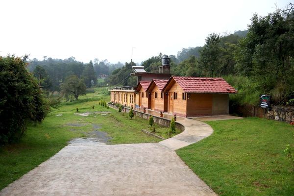 Cabaña Los Pinos