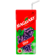 Suco de Néctar Maguary Uva 200ml