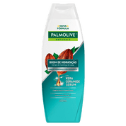 Shampoo Palmolive Cuidado Absoluto Cabelos Secos e Danificados 350ml 
