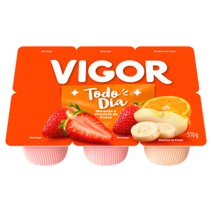 Bebida Láctea Vigor Vitamina 510g