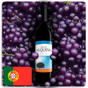 Vinho Tinto Sol de Alqueva Português Seco 750ml