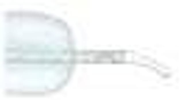 Rüsch Brillant, ballonkat, silikone, Tiemann 3ml, 31cm stilet, st, ch 8