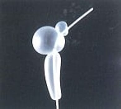 Blakemore, Sengstaken sonde, type 53, ch 18