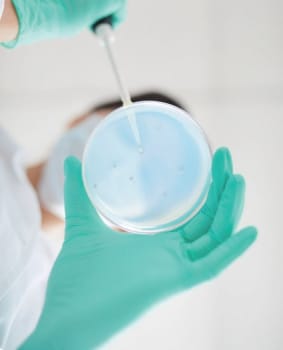 Nordic Protect, Bionedbrydelig nitrilhandske, pudderfri, grøn, medium