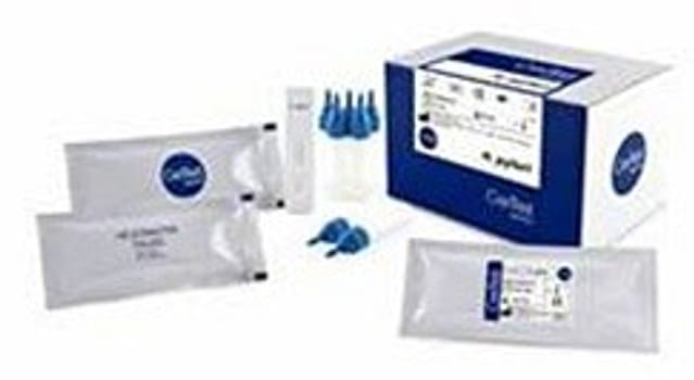 Certest H.pylori + positive control